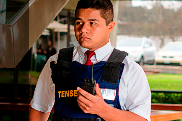 vigilancia privada tense